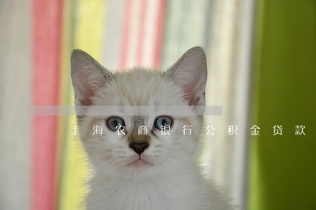 上海农商银行公积金贷款逾期 上海农商银行公积金贷款逾期