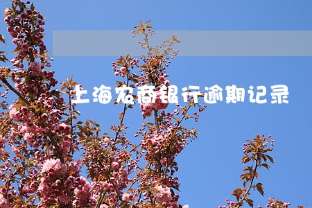 上海农商银行逾期记录 上海农商银行逾期记录