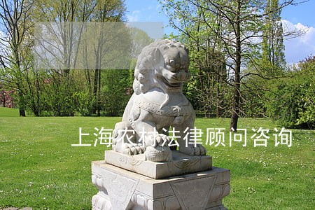 上海农村法律顾问咨询 上海农村法律顾问咨询