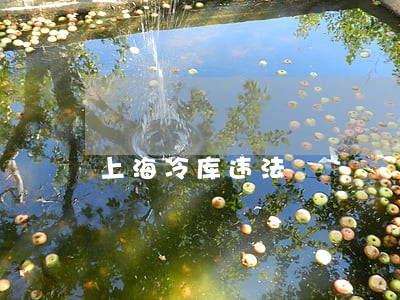 上海冷库违法 上海冷库违法