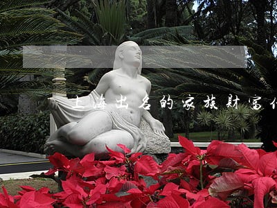 上海出名的家族财富传承律师咨询 上海出名的家族财富传承律师咨询