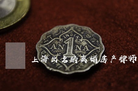 上海出名的离婚房产律师事务所 上海出名的离婚房产律师事务所