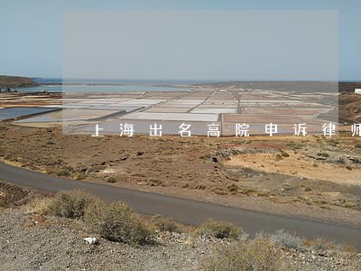 上海出名高院申诉律师规定 上海出名高院申诉律师规定