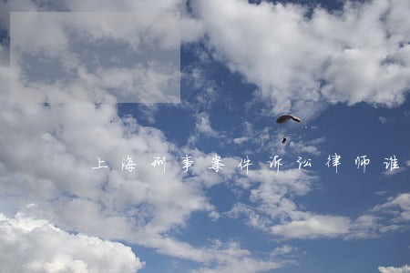 上海刑事案件诉讼律师谁好 上海刑事案件诉讼律师谁好