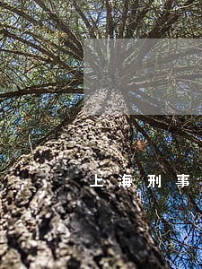 上海刑事法律咨询室 上海刑事法律咨询室