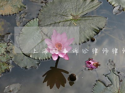 上海刑事诉讼律师律师在线咨询 上海刑事诉讼律师律师在线咨询