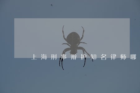上海刑事辩护知名律师哪里好 上海刑事辩护知名律师哪里好