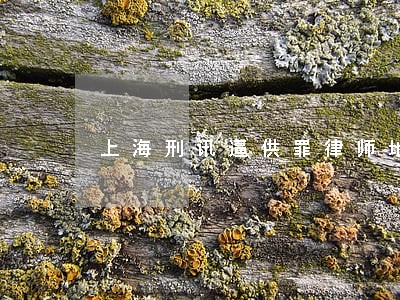 上海刑讯逼供罪律师地址 上海刑讯逼供罪律师地址