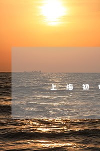 上海初审刑事辩护咨询律师 上海初审刑事辩护咨询律师