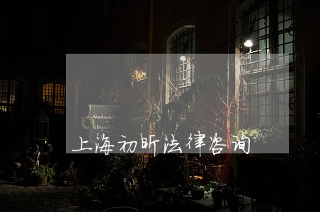 上海初昕法律咨询 上海初昕法律咨询