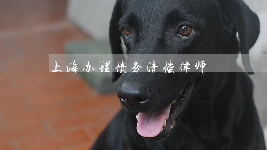 上海办理债务清偿律师