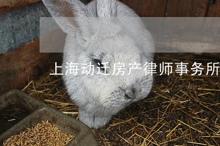 上海动迁房产律师事务所 上海动迁房产律师事务所