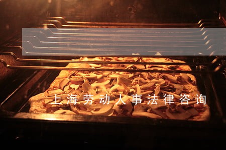 上海劳动人事法律咨询 上海劳动人事法律咨询