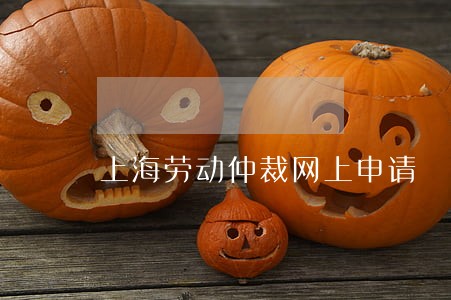 上海劳动仲裁网上申请 上海劳动仲裁网上申请
