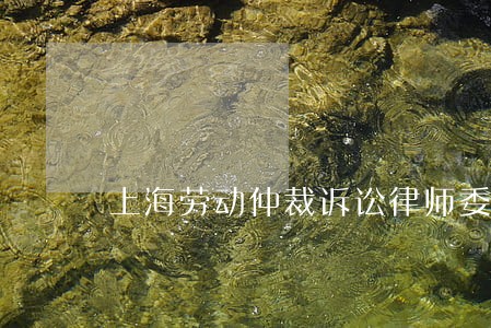 上海劳动仲裁诉讼律师委托 上海劳动仲裁诉讼律师委托