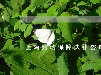 上海劳动保障法律咨询 上海劳动保障法律咨询
