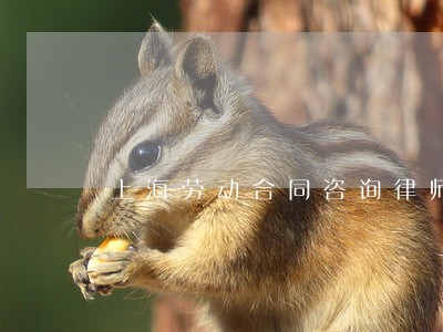 上海劳动合同咨询律师怎么收费 上海劳动合同咨询律师怎么收费