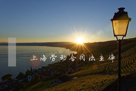 上海劳动合同法主体 上海劳动合同法主体