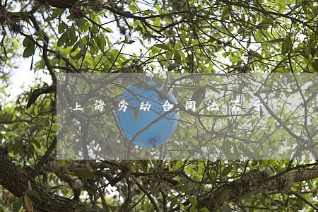 上海劳动合同法若干 上海劳动合同法若干