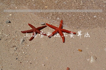 上海劳动法工资算法