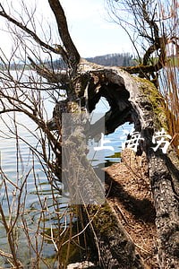 上海劳动法法律依据