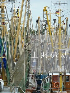 上海劳动法法律顾问 上海劳动法法律顾问
