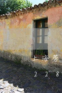 上海劳动法的孕妇/2023021058228