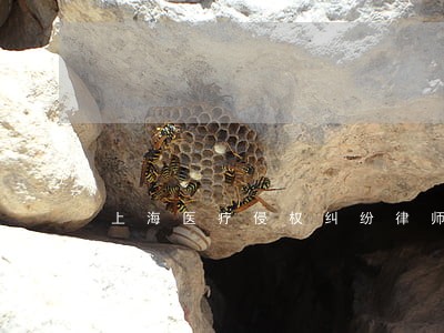 上海医疗侵权纠纷律师