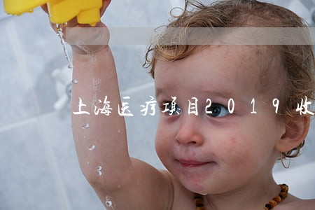 上海医疗项目2019收费标准 上海医疗项目2019收费标准
