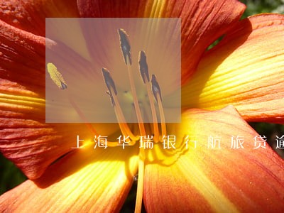 上海华瑞银行航旅贷逾期几个月 上海华瑞银行航旅贷逾期几个月
