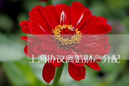 上海协议离婚财产分配 上海协议离婚财产分配