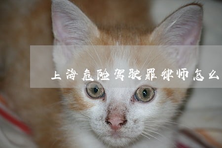 上海危险驾驶罪律师怎么收费