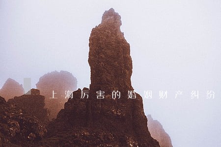 上海厉害的婚姻财产纠纷律师 上海厉害的婚姻财产纠纷律师