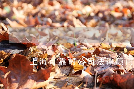 上海可靠的公司法律顾问 上海可靠的公司法律顾问