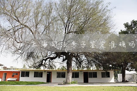 上海司法亲子鉴定准确吗