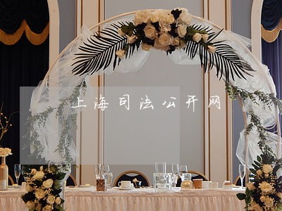 上海司法公开网 上海司法公开网