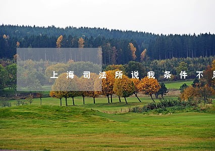 上海司法所说我条件不足 上海司法所说我条件不足