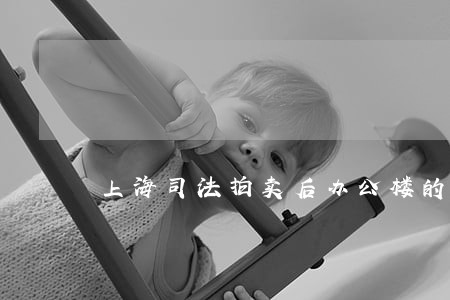 上海司法拍卖后办公楼的税 上海司法拍卖后办公楼的税
