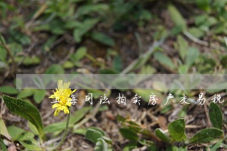 上海司法拍卖房产交易税费