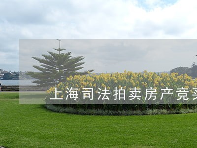 上海司法拍卖房产竞买人条件
