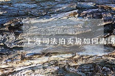 上海司法拍卖房如何清场 上海司法拍卖房如何清场