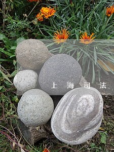 上海司法改革合同制
