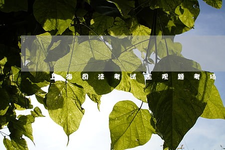 上海司法考试主观题考场笔试