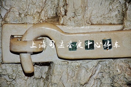 上海司法鉴定中心停车 上海司法鉴定中心停车