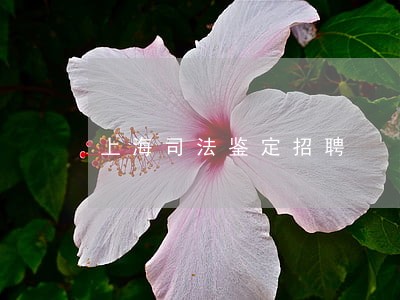 上海司法鉴定招聘 上海司法鉴定招聘