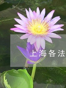 上海各法院的通讯地址及联系方式 上海各法院的通讯地址及联系方式