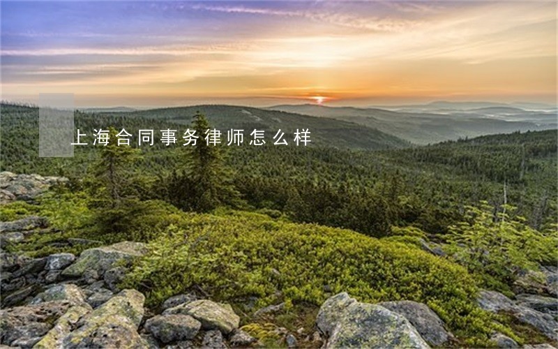 上海合同事务律师怎么样 上海合同事务律师怎么样