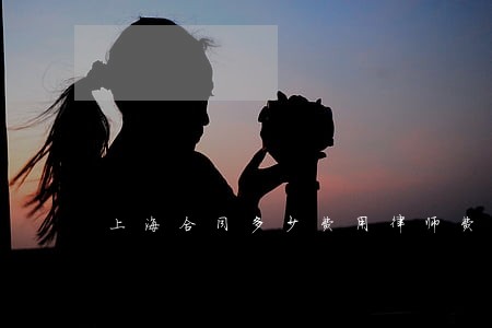 上海合同多少费用律师费用多少