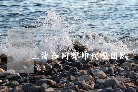 上海合同律师代理团队 上海合同律师代理团队