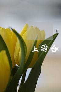 上海合同律师排名靠前律所 上海合同律师排名靠前律所